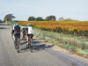 DuVine Cycling + Adventure Co. Napa & Sonoma Bike Tours