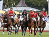 Newport Polo Club