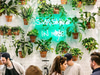 Avocaderia