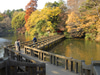 Inokashira Onshi Park