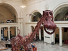 Field Museum of Natural History