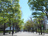 Yoyogi Koen