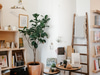 Black Bird Bookstore
