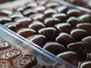 ChocolaTree