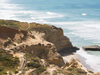 Torrey Pines State Natural Reserve