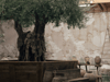 Olive Ateliers