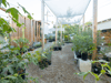 Plant Material