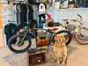 Mad Dogs & Englishmen Bike Shop