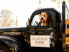 Flatbed Farm