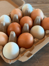 Pasture Raised Certified Organic Rainbow Eggs
