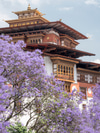 Tiger’s Odyssey Journey through Bhutan