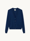 The Classic V-Neck Cardigan