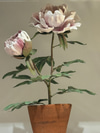 Faja's Porcelain Flowers