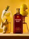 Ginger Non-Alcoholic Apertif