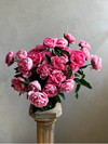 Signature Flower Arrangement Subscription