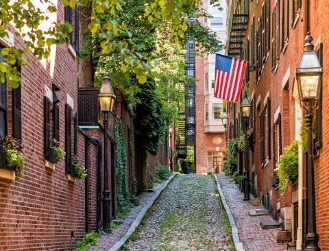 The Boston Guide