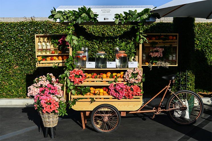Ketel One Botanical cart