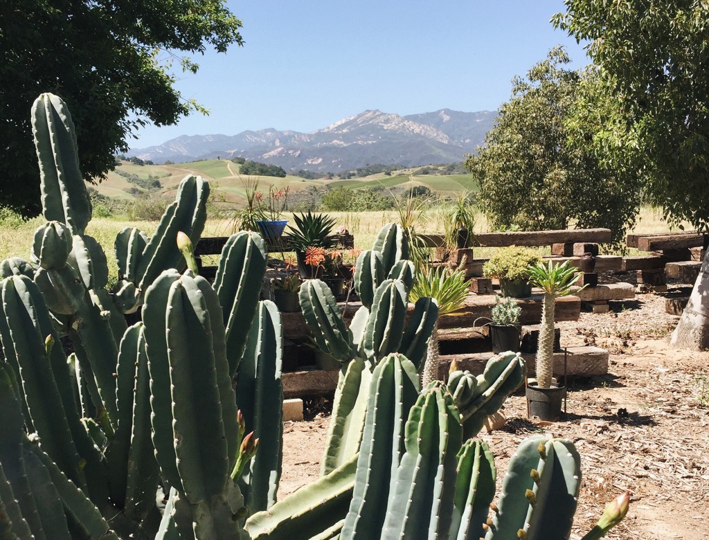 The Ojai Guide
