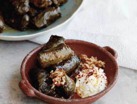 Tomato & Mint Dolma (Yaprak Sarma)