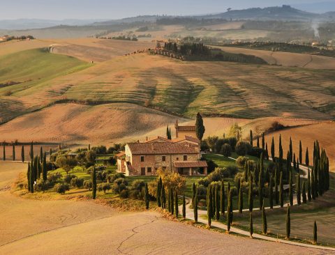 The Tuscany Guide