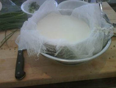 Ricotta