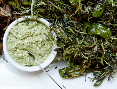 Cilantro Chutney