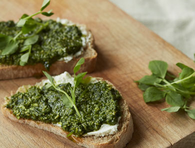 Pea Shoot Pesto with Lemon Ricotta on Toast
