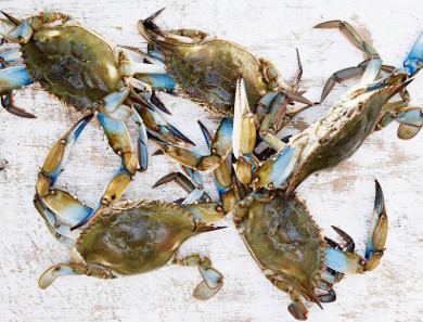 Fried Soft-Shell Crab (Kara-age) with Green Chili Ginger Dressing