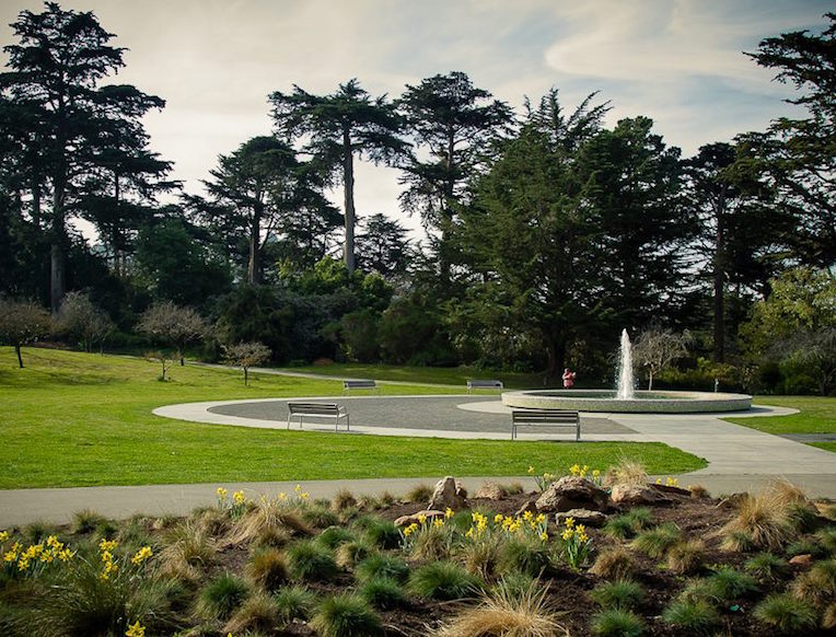 San Francisco Botanical Garden | Goop