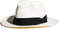 Madewell panama hat