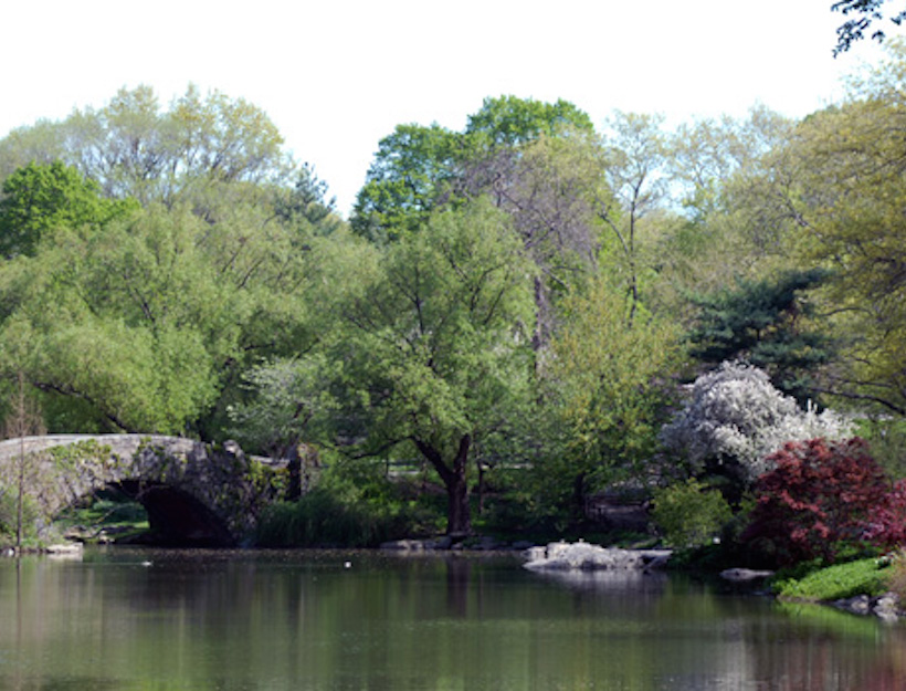 Central Park by 