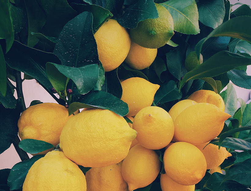 Secret Ingredient: Lemon