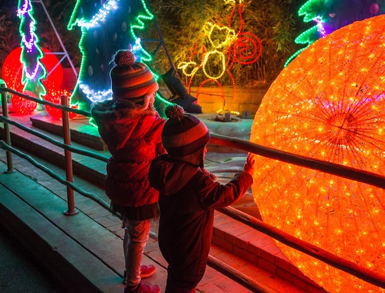LA Zoo Lights