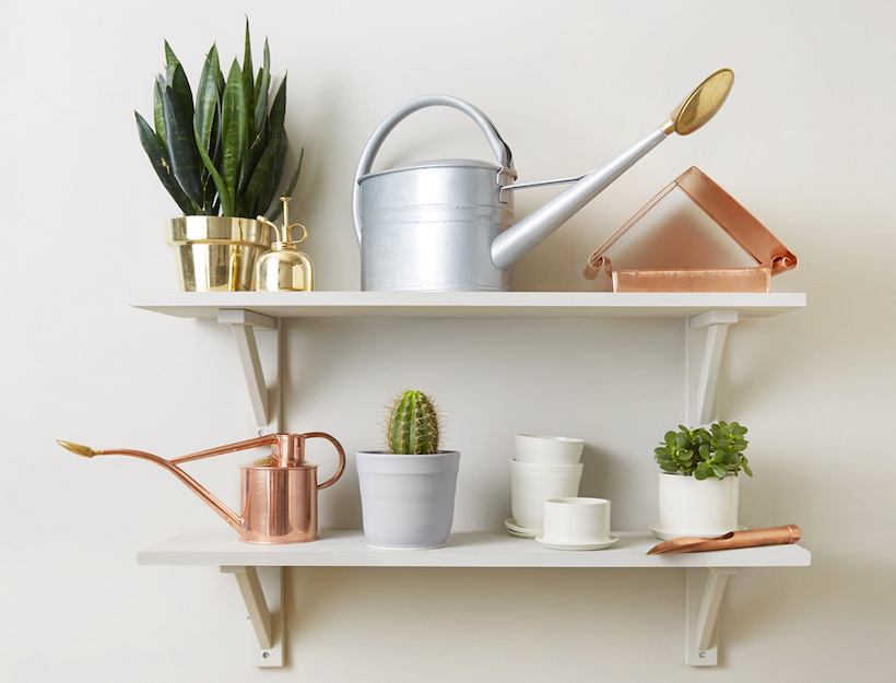 Kaufmann Mercantile goop