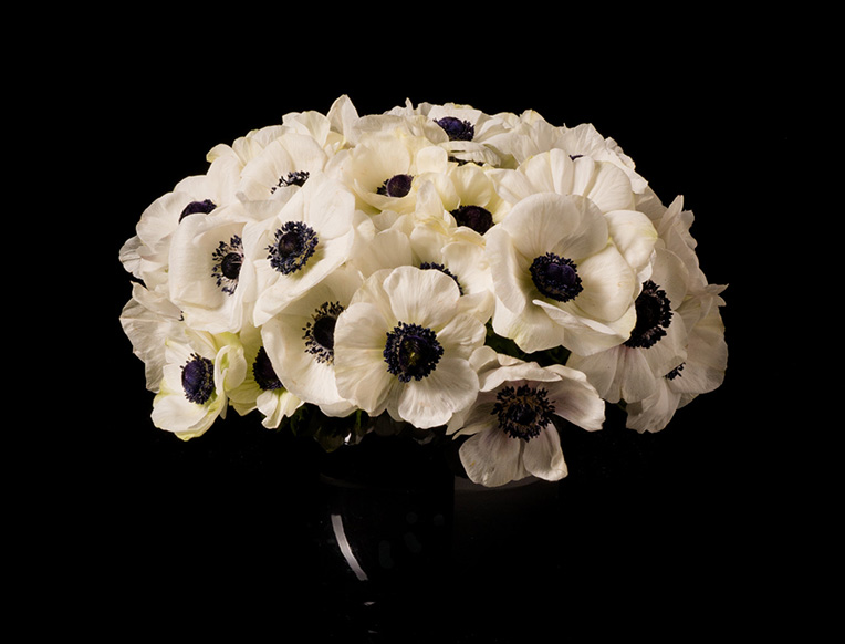 Louis Vuitton vanity bag  Unique floral arrangements, Floral arrangements,  Flower aesthetic