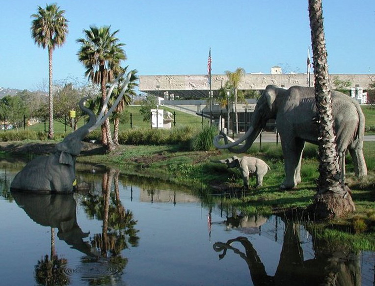 La Brea Tar Pits and Museum by 