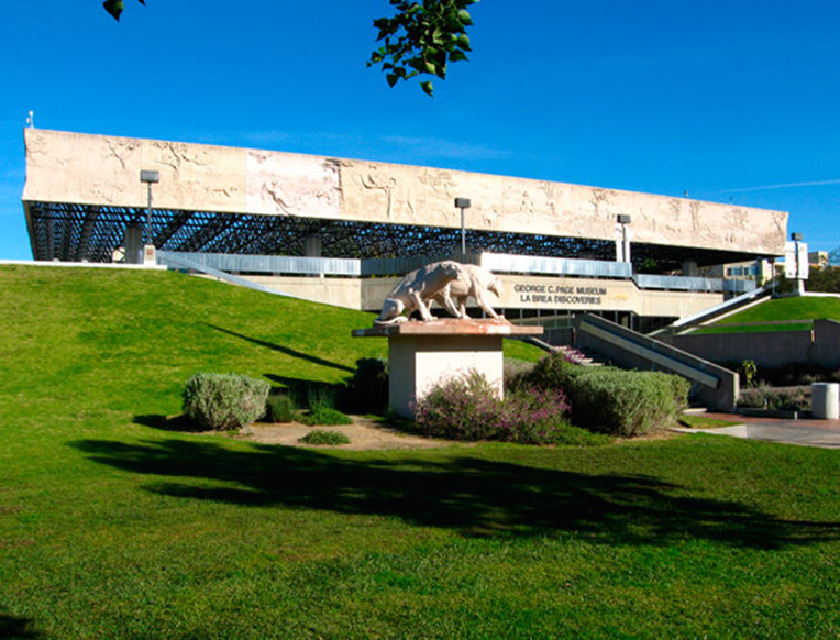 La Brea Tar Pits - A Surprising Find in the Heart of Los Angeles