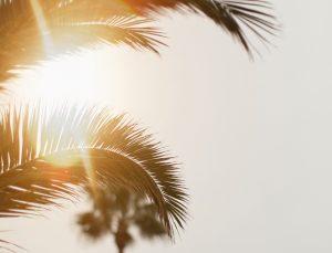 rhonda patrick skin care