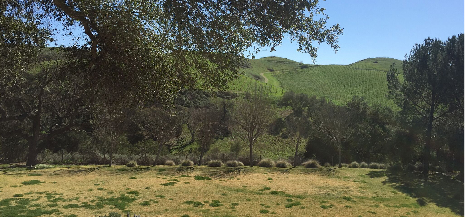 Santa Ynez Valley