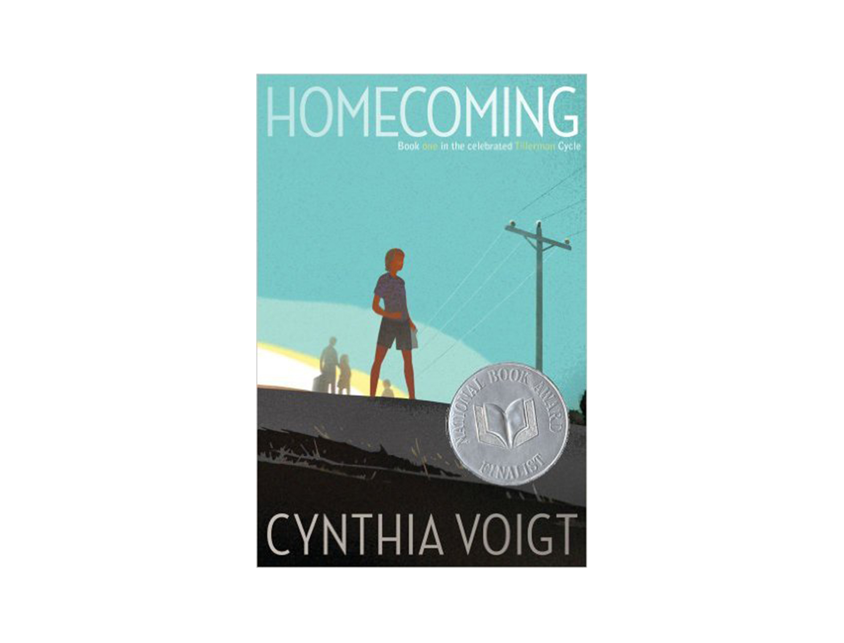 The Tillerman Cycle Series by Cynthia Voigt