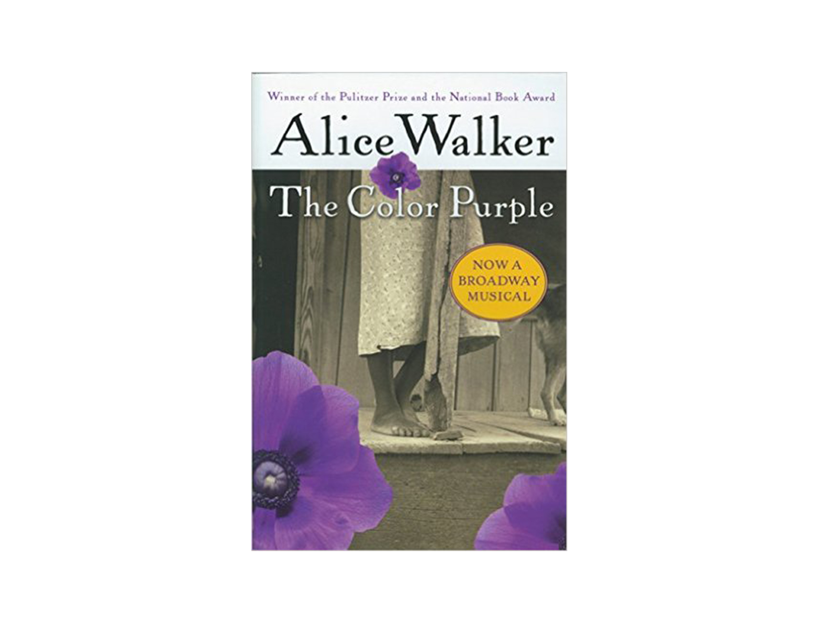 The Color Purple by Alice Walker