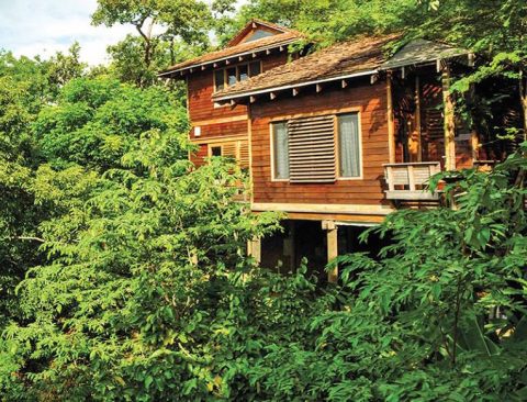 Surf Centric Getaways Goop