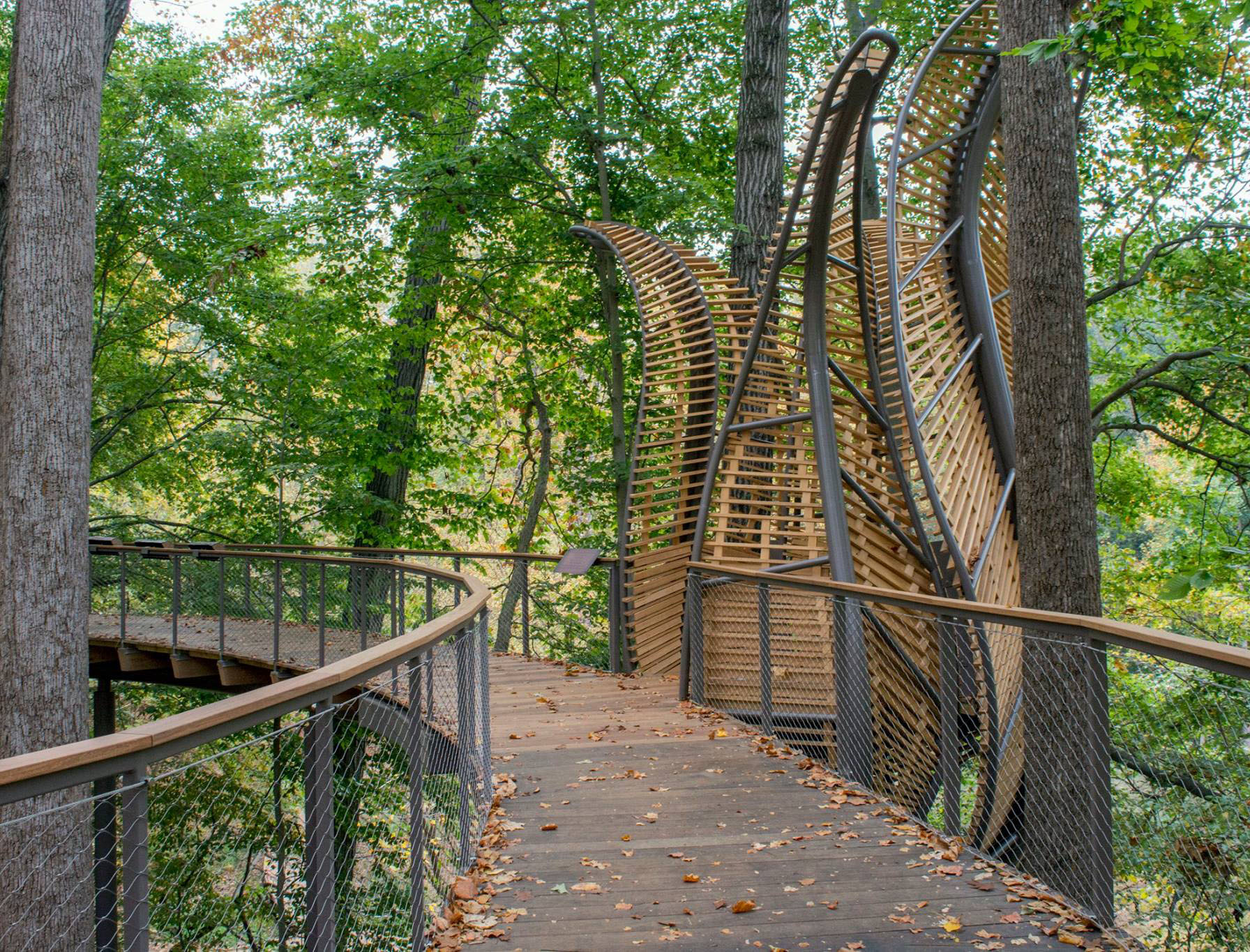 Fernbank Museum Of Natural History | Goop