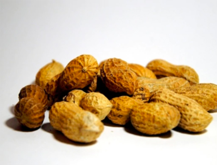 Infants Should Be Fed Peanuts to Stave Off Allergies