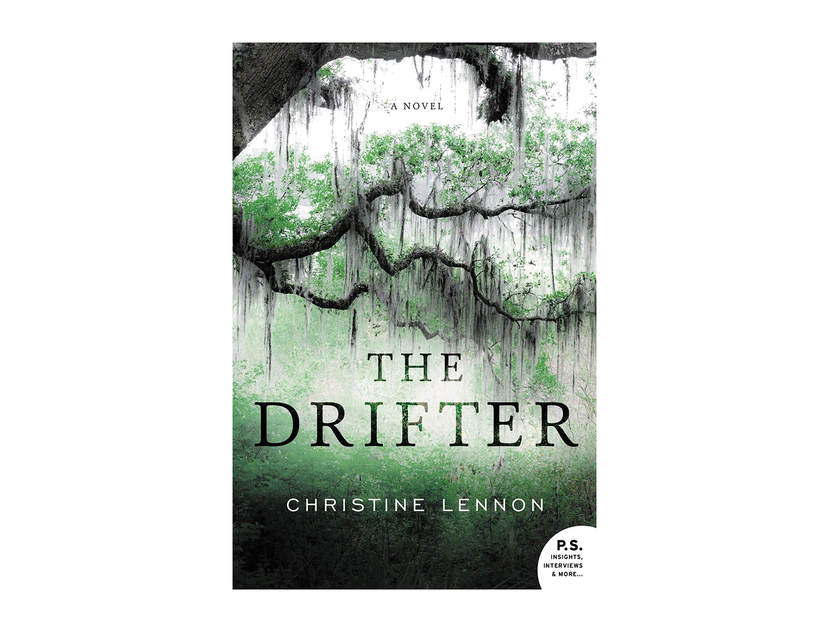 The Drifter by Christine Lennon