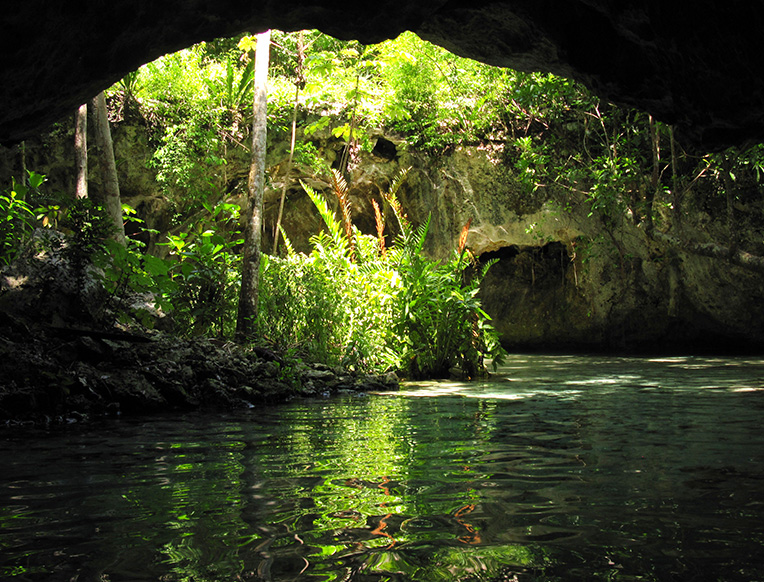 Go Snorkeling in a Cenote
