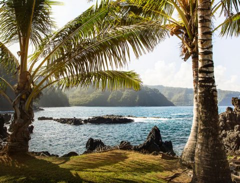 The Maui Guide