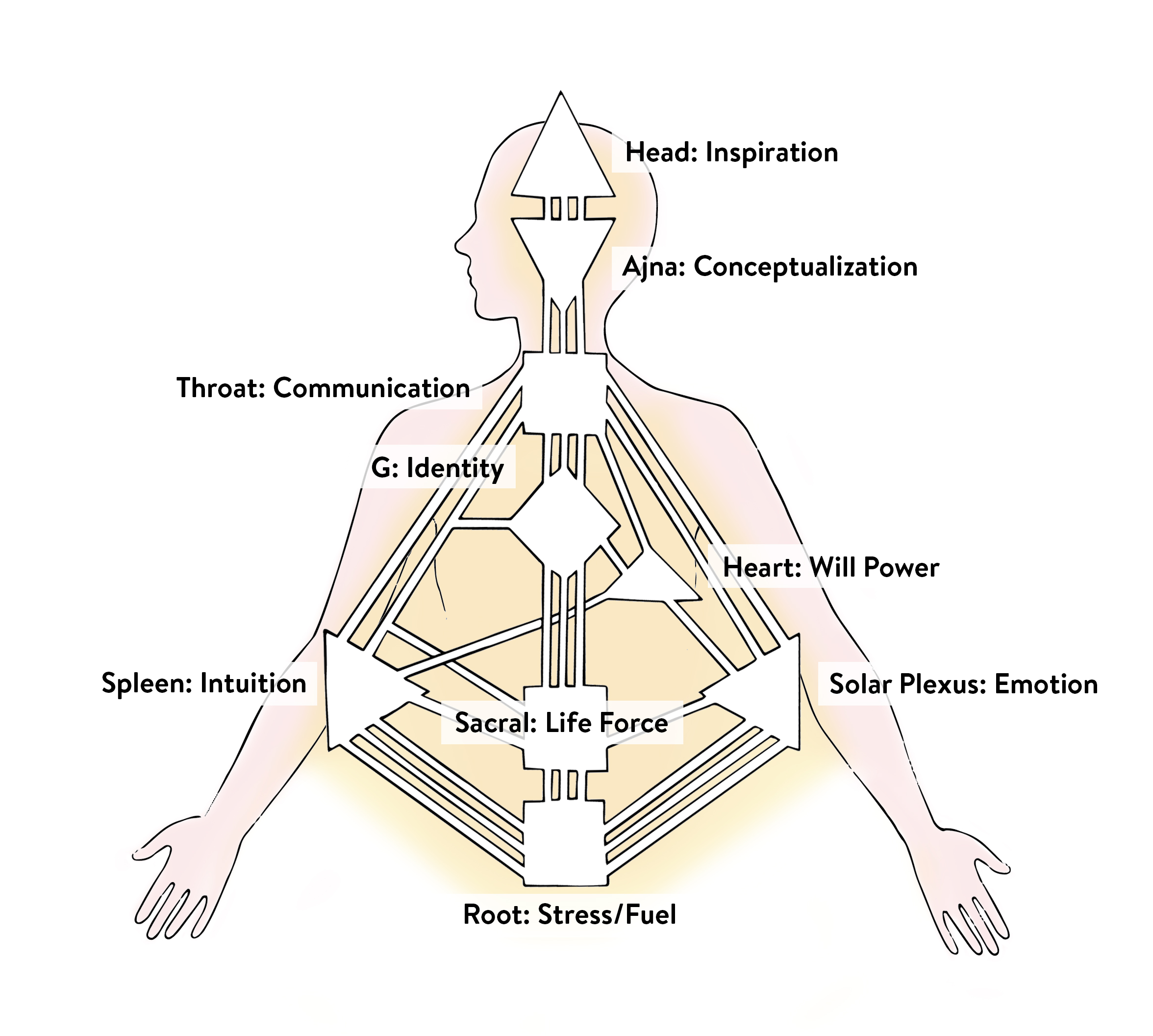 free human design chart