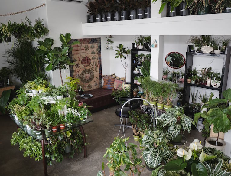 Homestead Plant Shop