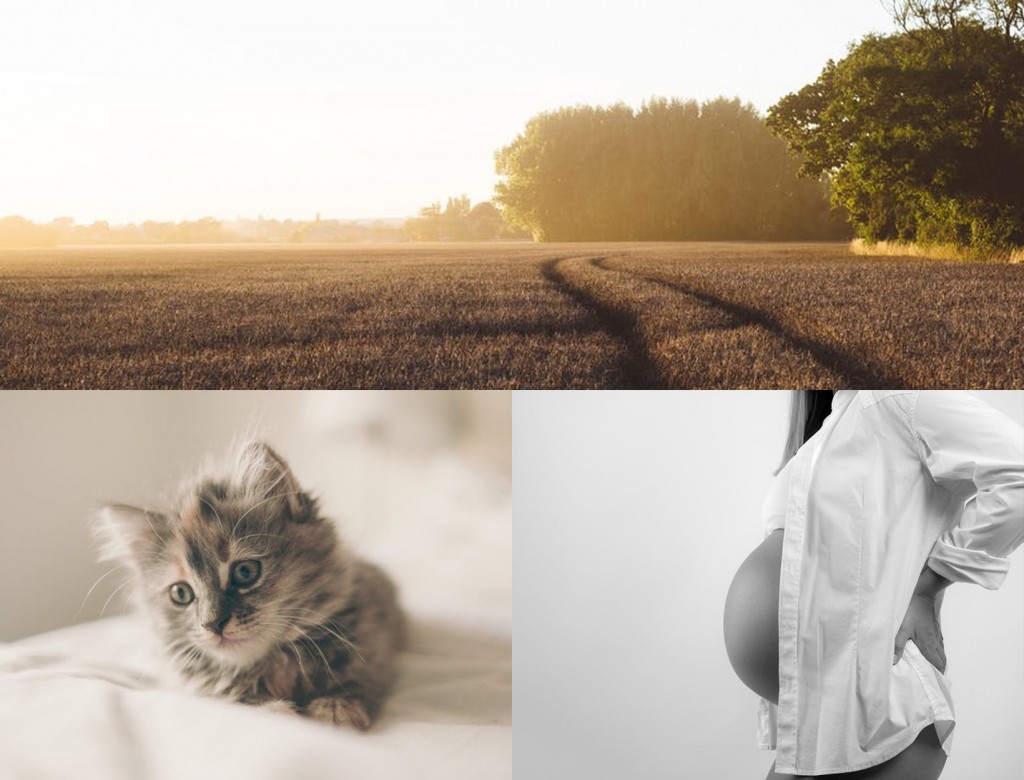 Pregnancy May Make You Smarter + Other Stories